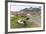 Southern Elephant Seal Pups (Mirounga Leonina) after Weaning in Grytviken Harbor, South Georgia-Michael Nolan-Framed Photographic Print