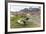 Southern Elephant Seal Pups (Mirounga Leonina) after Weaning in Grytviken Harbor, South Georgia-Michael Nolan-Framed Photographic Print