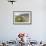 Southern Elephant Seal Pups (Mirounga Leonina) after Weaning in Grytviken Harbor, South Georgia-Michael Nolan-Framed Photographic Print displayed on a wall