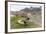 Southern Elephant Seal Pups (Mirounga Leonina) after Weaning in Grytviken Harbor, South Georgia-Michael Nolan-Framed Photographic Print