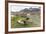 Southern Elephant Seal Pups (Mirounga Leonina) after Weaning in Grytviken Harbor, South Georgia-Michael Nolan-Framed Photographic Print