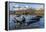 Southern Elephant Seal Pups (Mirounga Leonina), in Melt Water Pond, St. Andrews Bay, South Georgia-Michael Nolan-Framed Premier Image Canvas