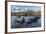 Southern Elephant Seal Pups (Mirounga Leonina), in Melt Water Pond, St. Andrews Bay, South Georgia-Michael Nolan-Framed Photographic Print