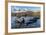 Southern Elephant Seal Pups (Mirounga Leonina), in Melt Water Pond, St. Andrews Bay, South Georgia-Michael Nolan-Framed Photographic Print