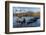 Southern Elephant Seal Pups (Mirounga Leonina), in Melt Water Pond, St. Andrews Bay, South Georgia-Michael Nolan-Framed Photographic Print