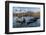 Southern Elephant Seal Pups (Mirounga Leonina), in Melt Water Pond, St. Andrews Bay, South Georgia-Michael Nolan-Framed Photographic Print