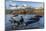 Southern Elephant Seal Pups (Mirounga Leonina), in Melt Water Pond, St. Andrews Bay, South Georgia-Michael Nolan-Mounted Photographic Print