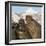 Southern elephant seal, two males fighting. St Andrews Bay, South Georgia-Tony Heald-Framed Photographic Print