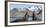 Southern elephant seal, two males threatening one another. Gold Harbour, South Georgia-Tony Heald-Framed Photographic Print