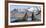 Southern elephant seal, two males threatening one another. Gold Harbour, South Georgia-Tony Heald-Framed Photographic Print