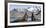 Southern elephant seal, two males threatening one another. Gold Harbour, South Georgia-Tony Heald-Framed Photographic Print