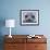 Southern Elephant Seal Yearling, South Georgia Island, Antarctica-Hugh Rose-Framed Photographic Print displayed on a wall