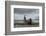 Southern Elephant Seal-Joe McDonald-Framed Photographic Print