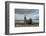 Southern Elephant Seal-Joe McDonald-Framed Photographic Print