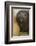 Southern Elephant Seal-Joe McDonald-Framed Photographic Print