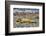 Southern elephant seals and Gentoo Penguin rookery, Yankee Harbor, Greenwich Island, Antarctica.-William Perry-Framed Photographic Print