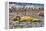 Southern elephant seals and Gentoo Penguin rookery, Yankee Harbor, Greenwich Island, Antarctica.-William Perry-Framed Premier Image Canvas