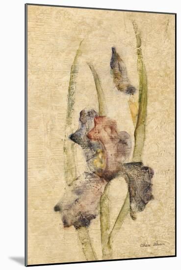 Southern Floral II-Cheri Blum-Mounted Art Print