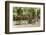 Southern France, St. Remy. Sidewalk Cafes-Emily Wilson-Framed Photographic Print