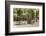 Southern France, St. Remy. Sidewalk Cafes-Emily Wilson-Framed Photographic Print