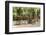 Southern France, St. Remy. Sidewalk Cafes-Emily Wilson-Framed Photographic Print