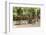 Southern France, St. Remy. Sidewalk Cafes-Emily Wilson-Framed Photographic Print