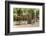 Southern France, St. Remy. Sidewalk Cafes-Emily Wilson-Framed Photographic Print