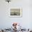 Southern Giant Petrel (Macronectes Giganteus), on the Falkland Islands-Martin Zwick-Framed Photographic Print displayed on a wall