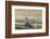 Southern Giant Petrel (Macronectes Giganteus), on the Falkland Islands-Martin Zwick-Framed Photographic Print