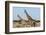 Southern Giraffe, Central Kalahari National Park, Botswana-Sergio Pitamitz-Framed Photographic Print