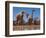 Southern Giraffes, 2019,-Eric Meyer-Framed Photographic Print