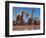 Southern Giraffes, 2019,-Eric Meyer-Framed Photographic Print