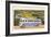 Southern Greyhound Bus-null-Framed Art Print