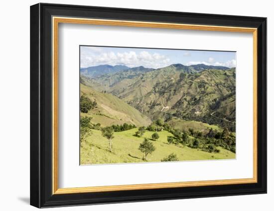 Southern highlands near Saraguro, Ecuador, South America-Tony Waltham-Framed Photographic Print