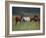 Southern Horses-Valtcho Tonov-Framed Art Print