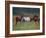 Southern Horses-Valtcho Tonov-Framed Art Print