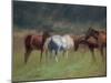 Southern Horses-Valtcho Tonov-Mounted Art Print