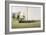 Southern Island-Zhen-Huan Lu-Framed Giclee Print