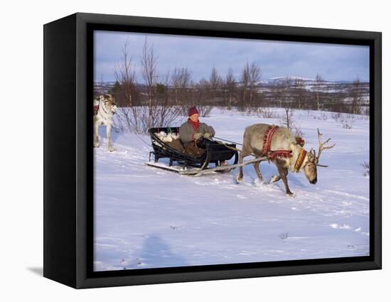 Southern Lapp with Reindeer Sledge, Roros, Norway, Scandinavia-Adam Woolfitt-Framed Premier Image Canvas