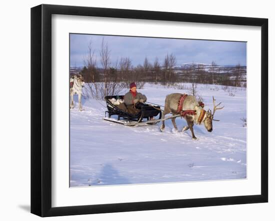 Southern Lapp with Reindeer Sledge, Roros, Norway, Scandinavia-Adam Woolfitt-Framed Photographic Print