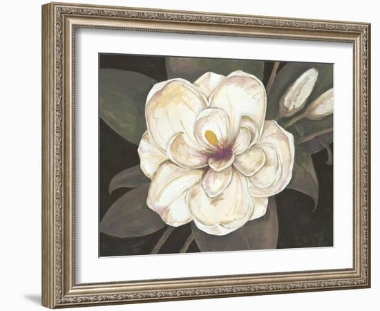 Southern Magnolia-Filippo Ioco-Framed Art Print