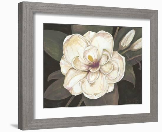 Southern Magnolia-Filippo Ioco-Framed Art Print