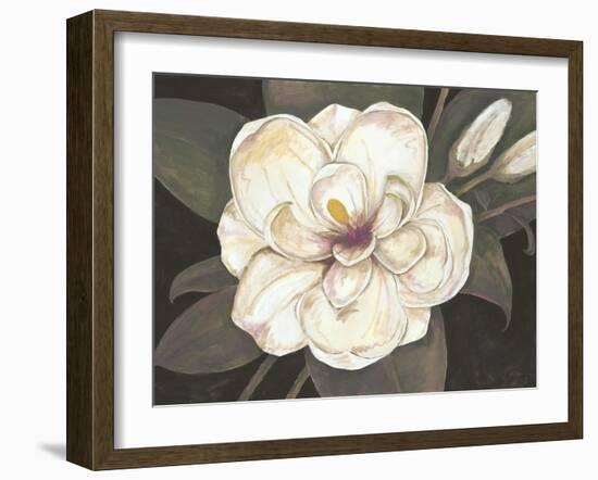 Southern Magnolia-Filippo Ioco-Framed Art Print