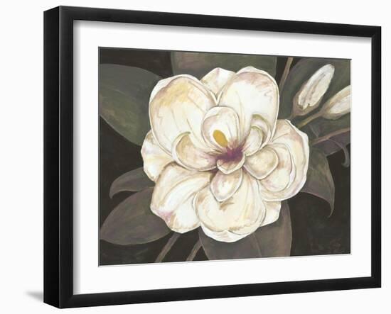 Southern Magnolia-Filippo Ioco-Framed Art Print