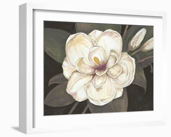 Southern Magnolia-Filippo Ioco-Framed Art Print