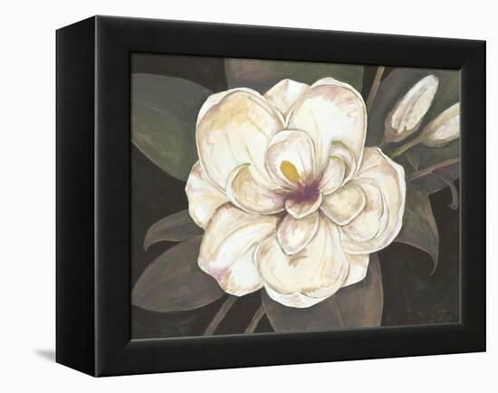 Southern Magnolia-Filippo Ioco-Framed Stretched Canvas