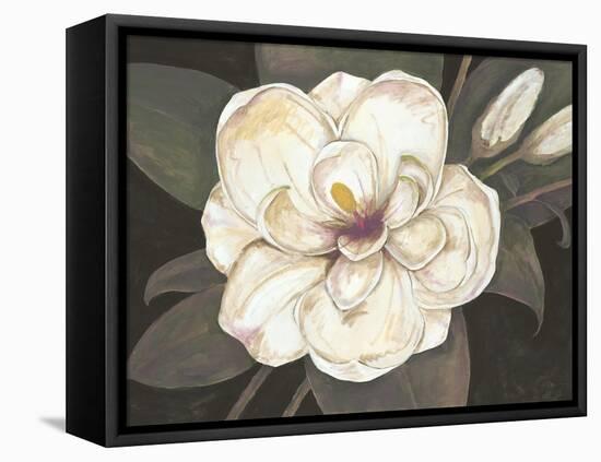 Southern Magnolia-Filippo Ioco-Framed Stretched Canvas