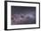 Southern Milky Way with Eta Carinae, Crux and Alpha and Beta Centauri-null-Framed Photographic Print