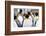 Southern Ocean, South Georgia. Portrait of a king penguin among other adults.-Ellen Goff-Framed Photographic Print