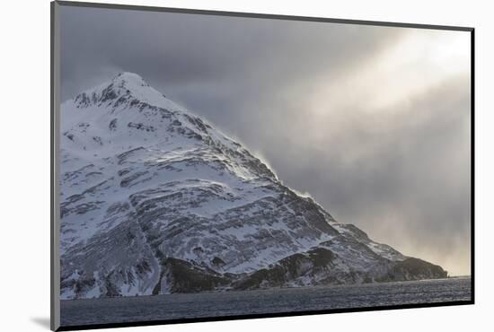 Southern Ocean, South Georgia, Salisbury Plain, Snowy peaks surround Salisbury Plain.-Ellen Goff-Mounted Photographic Print